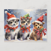 サンタハットを使ったかわいいクリスマスの子犬 ポストカード (正面)