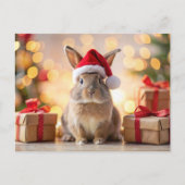 サンタハットを持って座っているクリスマスのバニーのウサギ シーズンポストカード (正面)