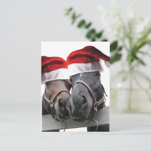 サンタハットを持つクリスマスの馬 シーズンポストカード (スタンド正面)