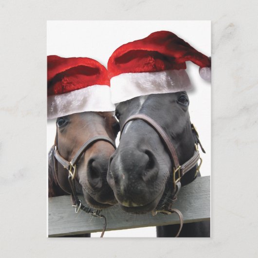 サンタハットを持つクリスマスの馬 シーズンポストカード (正面)