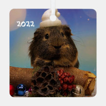 サンタハットを着たかわいいモルモット