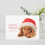 サンタハットを着たクリスマスの子犬 シーズンカード (スタンド正面)