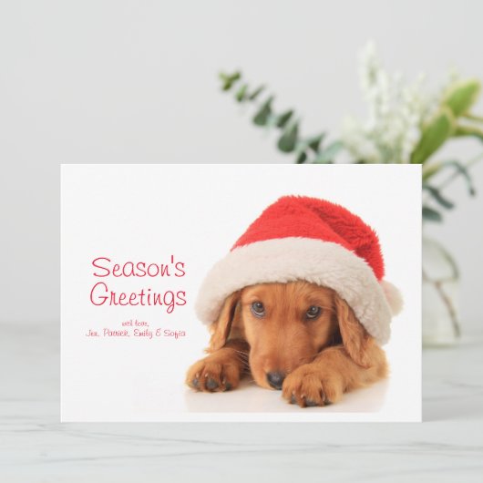 サンタハットを着たクリスマスの子犬 シーズンカード (スタンド正面)
