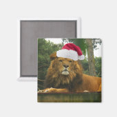 サンタハットを着たクリスマスリオン マグネット (正面/裏面)