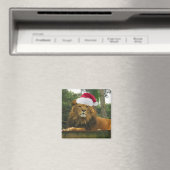サンタハットを着たクリスマスリオン マグネット (インサイチュ (食洗機))