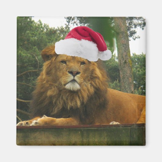 サンタハットを着たクリスマスリオン マグネット (正面)