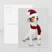 サンタハットを着たジャック・ラッセル・パピー シーズンポストカード (正面/裏面)