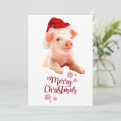 サンタハットを着たメリークリスマス豚 シーズンカード (スタンド正面)