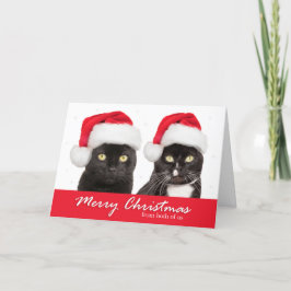 サンタハットを着た二人の猫たちによるメリークリスマス シーズンカード