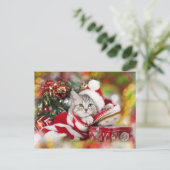サンタハットを着た子ネコのクリスマス シーズンポストカード (スタンド正面)