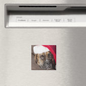 サンタハットを着た犬 マグネット (インサイチュ (食洗機))