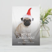 サンタハットを着た若いパグ シーズンカード (スタンド正面)