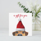 サンタハットギフトカードを持つ好奇心に満ちた可愛いおもしろい犬 (スタンド正面)