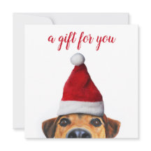 サンタハットギフトカードを持つ好奇心に満ちた可愛いおもしろい犬