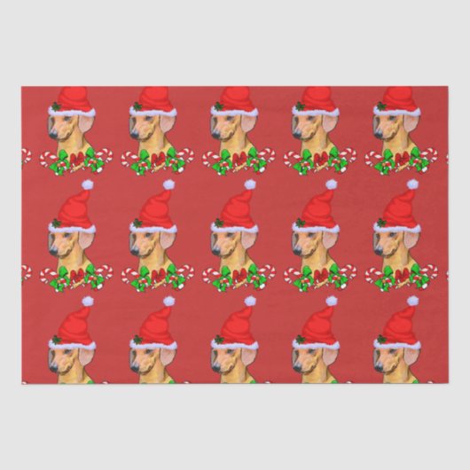 サンタハットクリスマスのダックスシュント 薄葉紙 (正面)