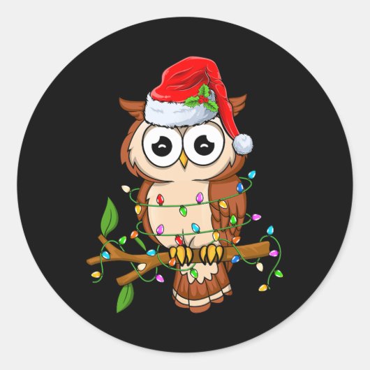 サンタハットクリスマスを着たフクロウ – Birds Owl Lover Chris ラウンドシール (正面)