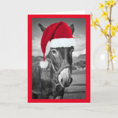 サンタハットクリスマスカードを着用したロバ カード (黄色い花)