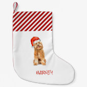 サンタハットクリスマスストッキングとゴールデンドードル スモールクリスマスストッキング (正面)