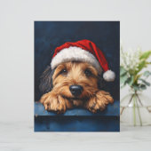 サンタハットスクラップブック紙のオタハウンド (スタンド正面)