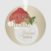 サンタハット🏐バレーボール | DIY名 オーナメント (裏面)