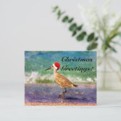 サンタハットバードオントロピカルビーチクリスマスカード シーズンポストカード (スタンド正面)