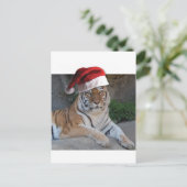 サンタハットベンガルタイガー シーズンポストカード (スタンド正面)