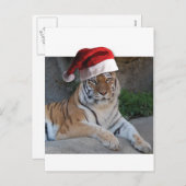 サンタハットベンガルタイガー シーズンポストカード (正面/裏面)