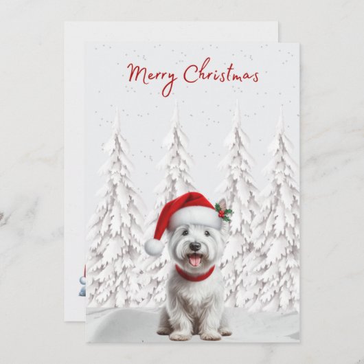 サンタハットメリークリスマスカードでウェスティー シーズンカード (正面/裏面)