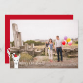 サンタハットラマフォトクリスマス シーズンカード (正面/裏面)