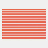 サンタハット付きクリスマスギフト紙セット恐竜 ラッピングペーパーシート (正面3)