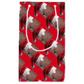 サンタハット付きクリスマスホース スモールペーパーバッグ (正面)