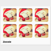 サンタハット付きブルドッグ スクエアシール (シート)