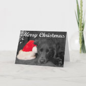 サンタハット写真の近くで眠っているチョコレートラボ シーズンカード (正面)