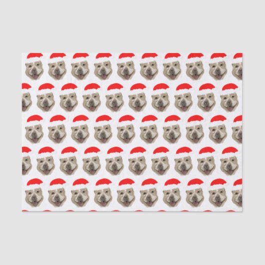 サンタバディ 薄葉紙 (正面)