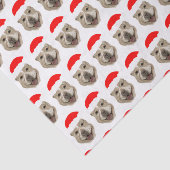 サンタバディ 薄葉紙 (詳細)