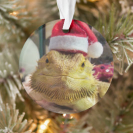 サンタバブスアクリルオーナメント オーナメント