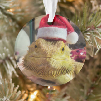 サンタバブスアクリルオーナメント オーナメント