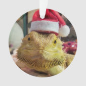 サンタバブスアクリルオーナメント オーナメント (正面)