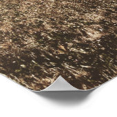 サンタバーバラカリフォルニアの暖かいサニーフィールド ポスター (角)