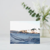 サンタバーバラビーチ ポストカード (スタンド正面)