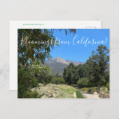 サンタバーバラボタニックガーデン ポストカード (正面/裏面)