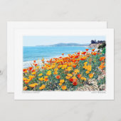 サンタバーバラポピー シーズンカード (正面/裏面)