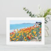 サンタバーバラポピー シーズンカード (スタンド正面)
