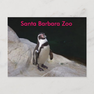 サンタバーバラ動物園 ポストカード