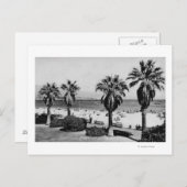 サンタバーバラ,カリフォルニア西部ビーチビューフォト ポストカード (正面/裏面)