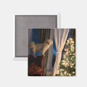 サンタパウを待つ冷蔵庫の磁石 マグネット (正面/裏面)