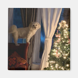 サンタパウを待つ冷蔵庫の磁石 マグネット