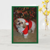 サンタパウズがやってくる！ カード (黄色い花)