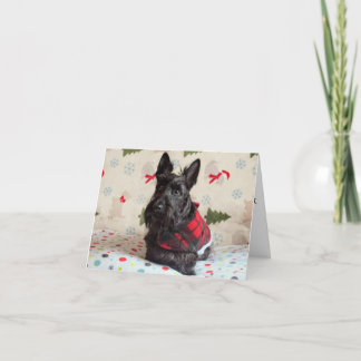 サンタパウズのカードを待つ（テキストあり） カード