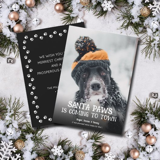 サンタパウズの犬の写真 クリスマス